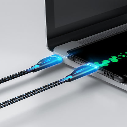 Câble USB C PD 100W Charge Rapide 1m
